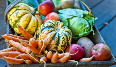 Fall Vegetables in a box