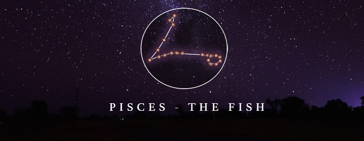the constellation Pisces