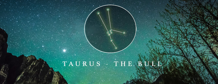 the constellation Taurus
