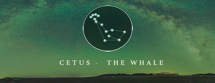 the constellation Cetus