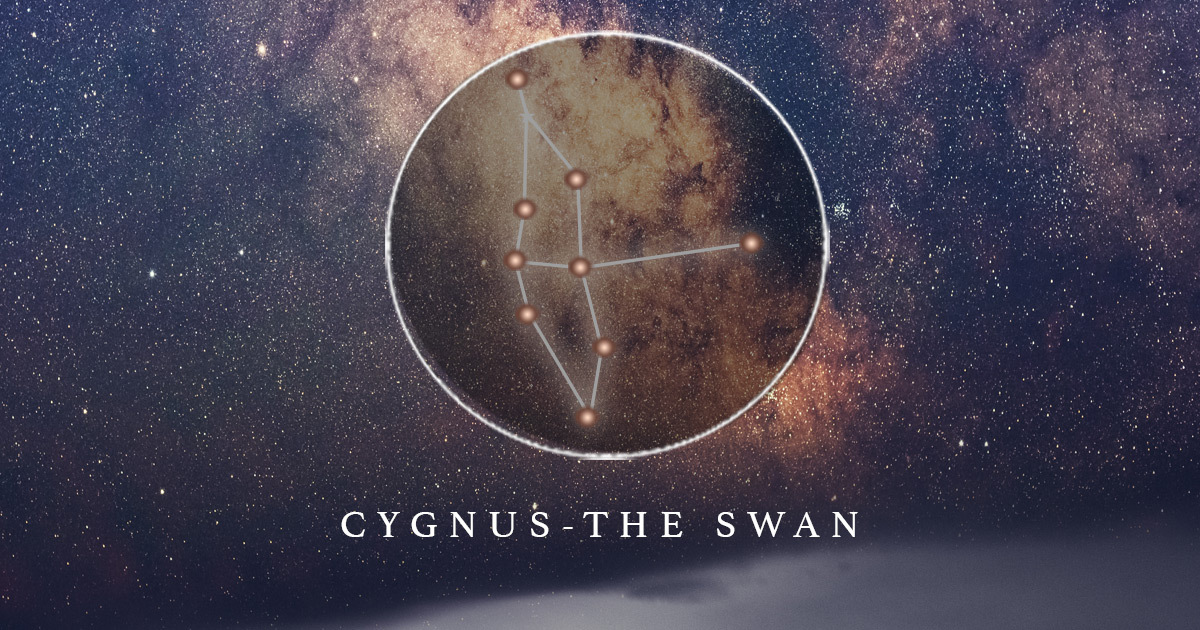 the constellation Cygnus