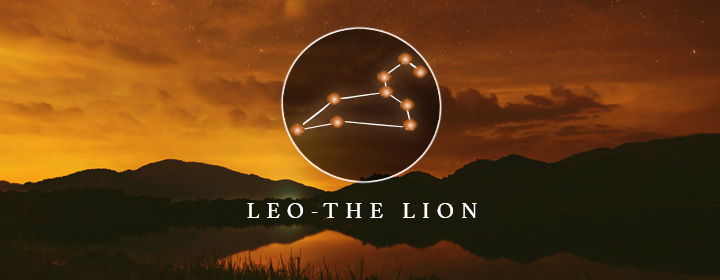 the constellation Leo