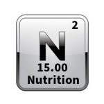 the element of Nutrition