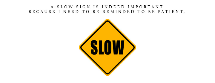 A SLOW sign is indeed important because I need to be reminded to be patient.