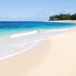 Tropical beach scene on a sunny day in Oahu, Hawaii