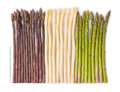 Purple Asparagus