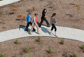 TOPS Walking Track