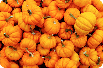 pumpkins