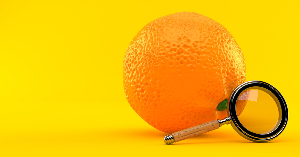 DIFFERENCE BETWEEN REGISTERED DIETITIAN AND NUTRITIONIST visual data 3