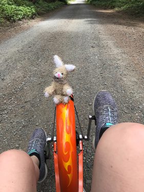 riding a recumbent bike