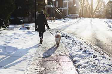 getting winter exercise by walking your dog