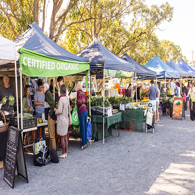 fruit and veggies in season at the farmers market