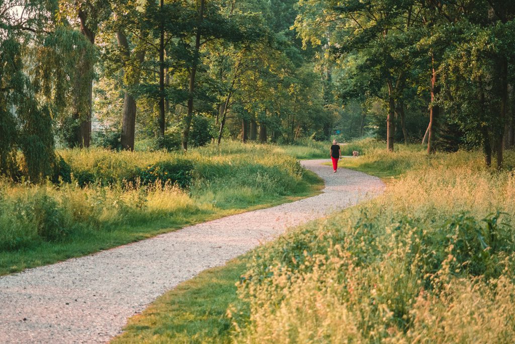 Nature Therapy. Pictured: Someone taking a walk outdoors.